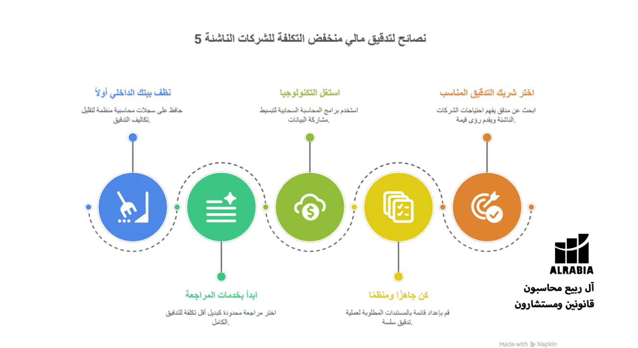 5 نصائح لتدقيق مالي منخفض التكلفة للشركات الناشئة