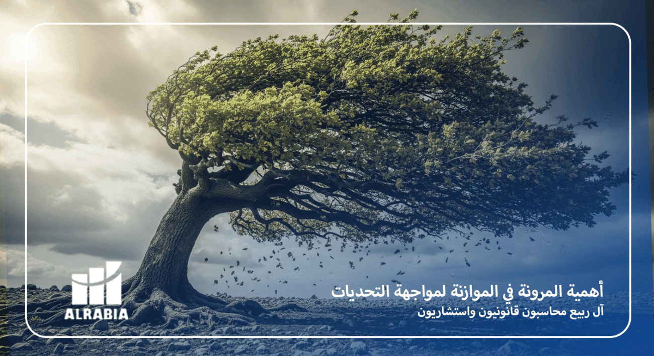 أهمية المرونة في الموازنة لمواجهة التحديات